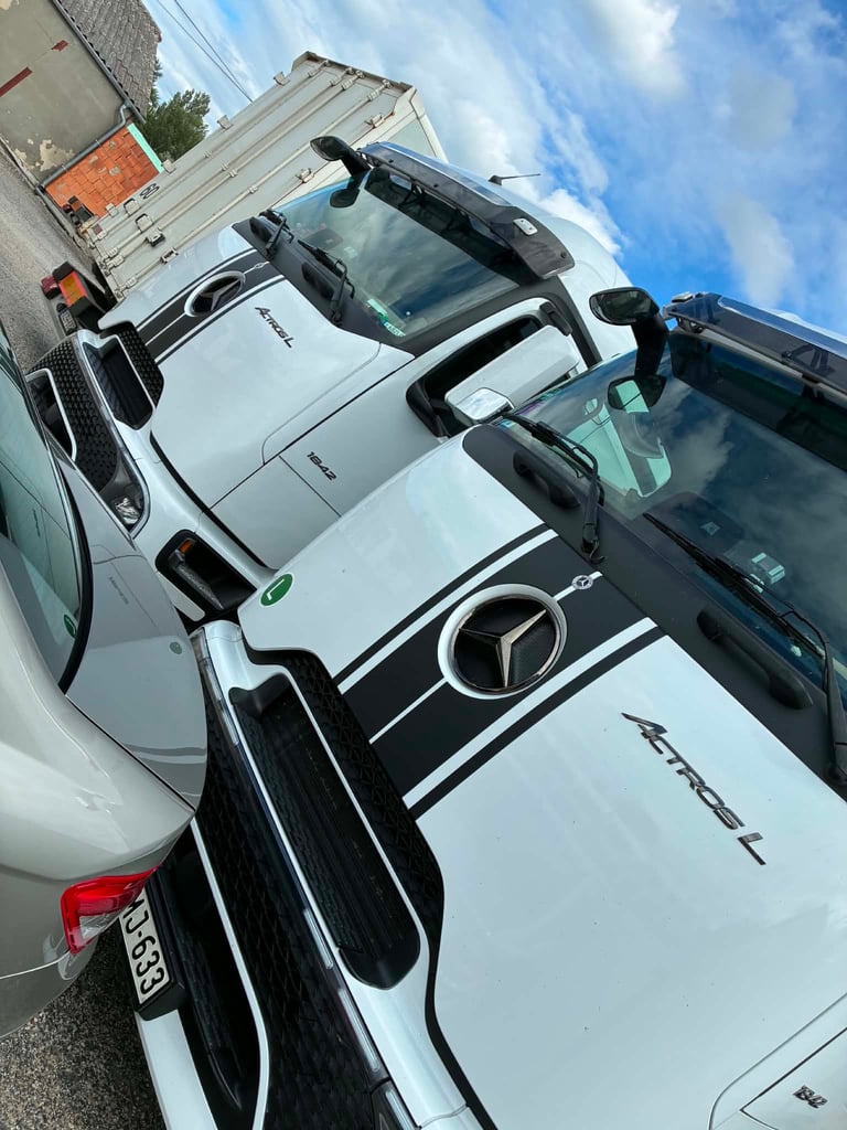 Overhead view of white pickup trucks parked in a row, showing truck beds and roofs against a blue sky